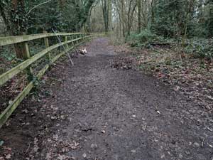 Bridleway