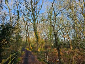 Bridleway