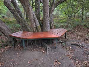 Bench