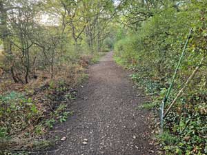 Bridleway