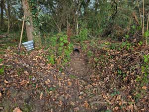 Ditch