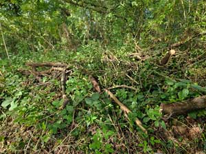 Logpile