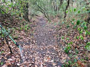 ditch