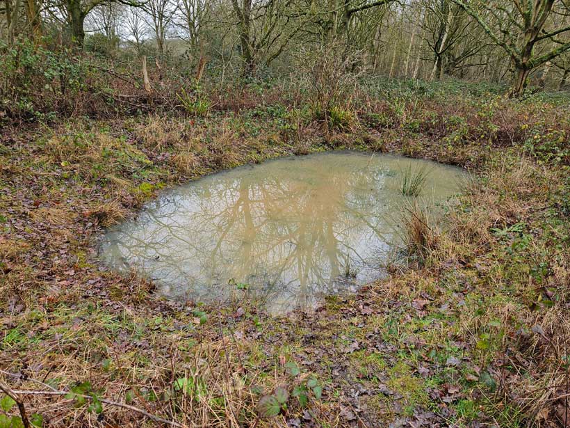 Well Pond