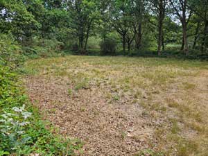 Area C2