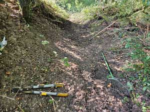 Ditch