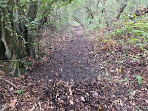 Ditch
