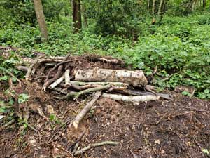 Logpile