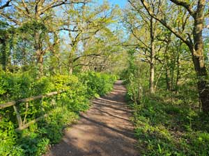 Bridleway