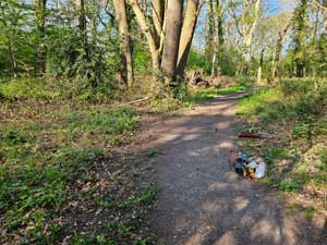 Path