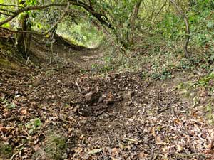 Ditch
