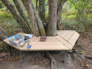 Bench