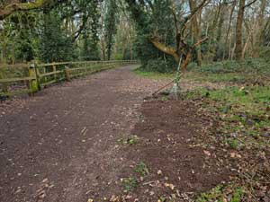 Bridleway