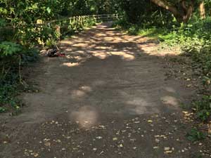 Bridleway