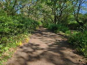 Bridleway
