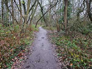 The Bridleway