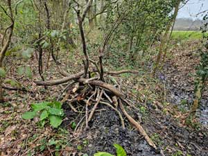 Log Pile