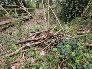 Log Pile
